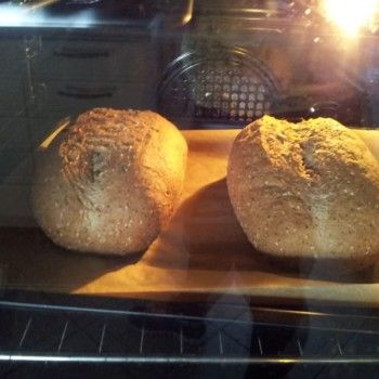 Unsere Weltmeisterbrot-Photomodelle werden auch gemeinsam sehr hübsch.