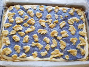 Rezept-Mohn-Pudding-Quarkschnitten-low-carb-glutenfrei-WEB