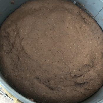 Rezept NUKETO Cheesecake mit Haselnuss-Streuseln lowcarb zuckerfrei keto