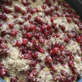 Rezept Johannisbeerkuchen mit Kokos Baiserhaube lowcarb keto kalorienarm