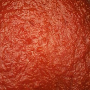 Rezept Ketchup lowcarb zuckerfrei ohne Zucker kalorienarm