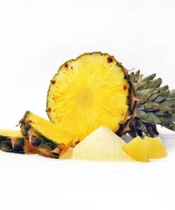 589-03_Fruchtpulver-ANANAS-Ananaspulver