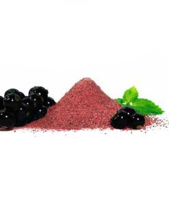 597-03_Fruchtpulver-SCHWARZE-JOHANNISBEERE-Johannisbeerpulver
