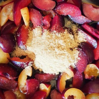 Rezept Buttermilch Quark Pflaumenterrine lowcarb kalorienarm