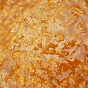 Rezept Aprikosen Marillen Sirup lowcarb