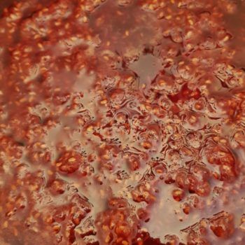 Rezept Himbeer Karamell Sirup lowcarb