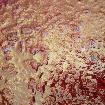 Rezept Kirsch Karamell Sirup lowcarb