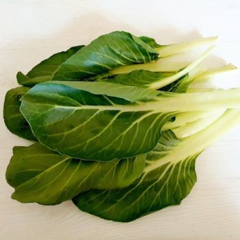 Rezept Capuns lowcarb glutenfrei keto