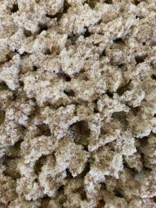 Rezept Pflaumenkuchen mit Pudding und Schmand lowcarb glutenfrei