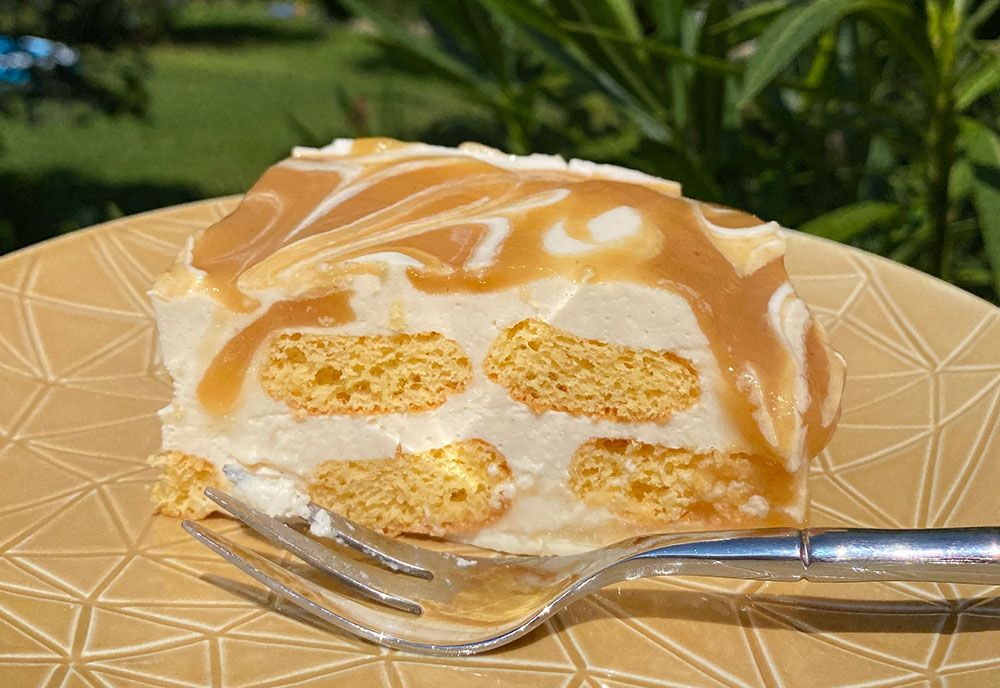 Rezept Schnelles Apfel-Joghurt-Tiramisu lowcarb keto glutenfrei