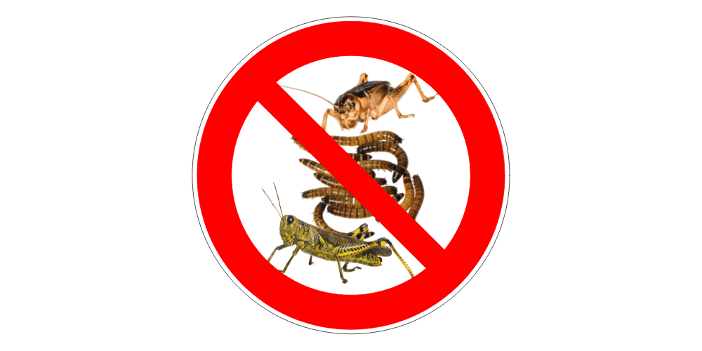 Dr. Almond-Produkte sind und bleiben insektenfrei